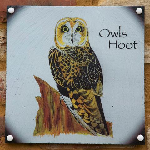 Owls Hoot Door Sign